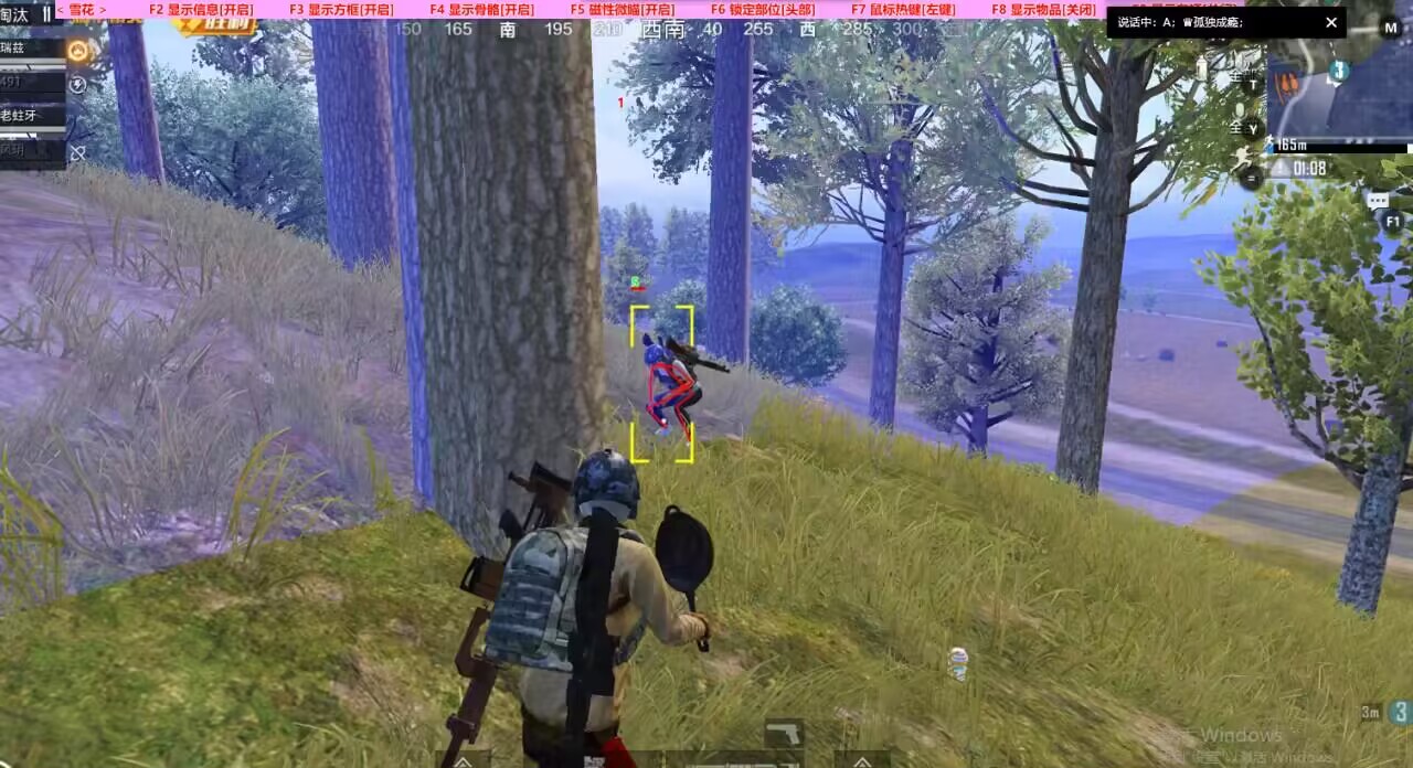 和平精英《迪达拉pro》辅助